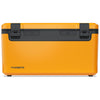 Color Mustard