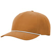 Color Brown