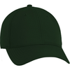 Color Dark Green