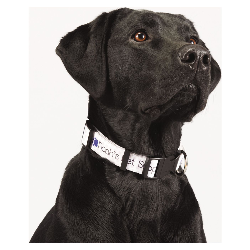 Bullet Custom Full Color 1" Wide Adjustable Pet Collar