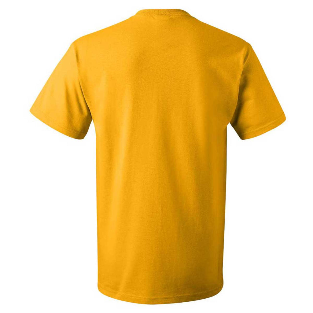 Fruit of the Loom Men's Gold HD Cotton Short Sleeve T-Shirt