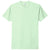 Next Level Unisex Mint CVC Tee