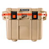 Color Light Brown